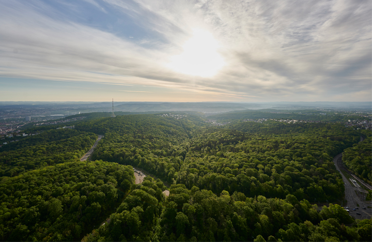 Aussicht von der Plattform